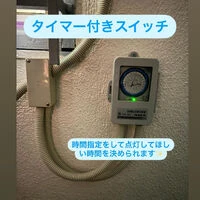ブログ画像